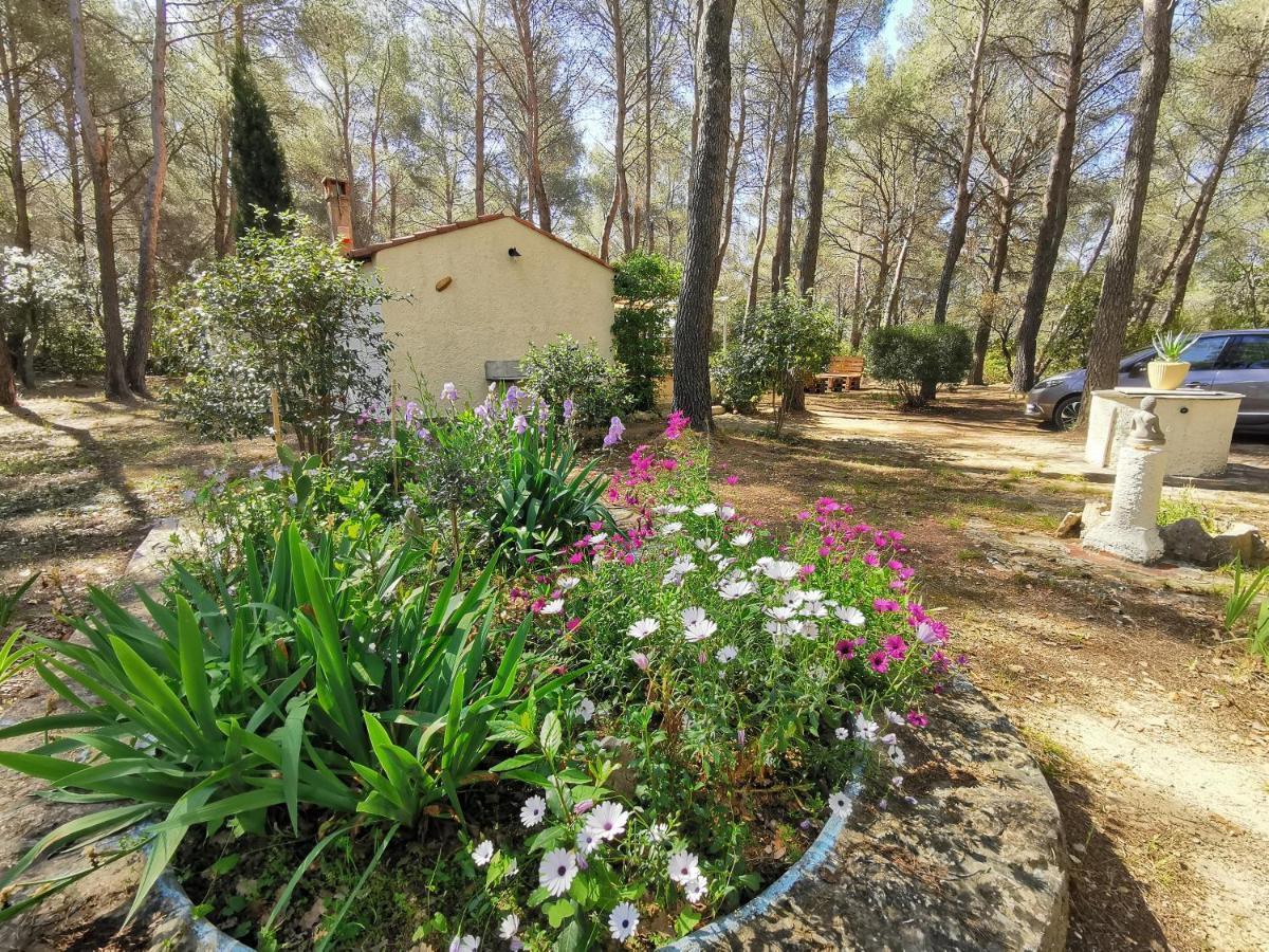 Maisonnette En Pleine Nature Le Beausset Exterior photo